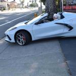 DSC_0016_00015 (June 28, 2023)